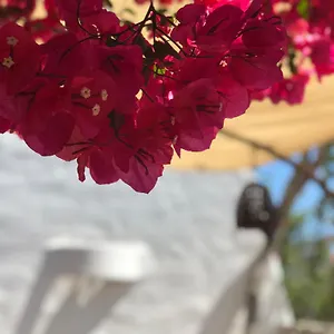 Vakantiehuis Casa Mariposa, Es Pujols